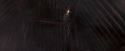 OdF-Potterish_6995.jpg