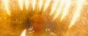 OdF-Potterish_7006.jpg