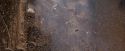 OdF-Potterish_7023.jpg