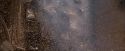 OdF-Potterish_7026.jpg