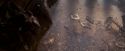 OdF-Potterish_7030.jpg