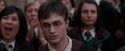 OdF-Potterish_7077.jpg