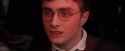 OdF-Potterish_7106.jpg