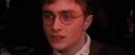 OdF-Potterish_7107.jpg