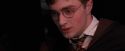 OdF-Potterish_7113.jpg