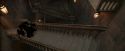 OdF-Potterish_7135.jpg