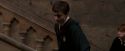 OdF-Potterish_7146.jpg