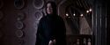 OdF-Potterish_7265.jpg