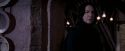 OdF-Potterish_7284.jpg