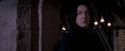 OdF-Potterish_7288.jpg