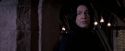 OdF-Potterish_7289.jpg