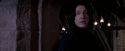 OdF-Potterish_7290.jpg