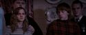 OdF-Potterish_7351.jpg