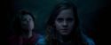 OdF-Potterish_7455.jpg