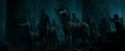OdF-Potterish_7456.jpg