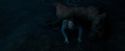 OdF-Potterish_7481.jpg