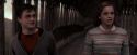 OdF-Potterish_7572.jpg