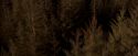OdF-Potterish_7617.jpg