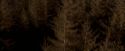 OdF-Potterish_7618.jpg