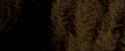 OdF-Potterish_7619.jpg