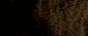 OdF-Potterish_7620.jpg