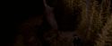 OdF-Potterish_7621.jpg