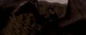 OdF-Potterish_7623.jpg