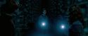 OdF-Potterish_7753.jpg