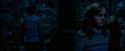 OdF-Potterish_7785.jpg
