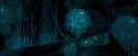 OdF-Potterish_7794.jpg