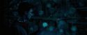 OdF-Potterish_7834.jpg