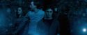 OdF-Potterish_7951.jpg