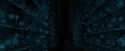 OdF-Potterish_7952.jpg