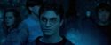 OdF-Potterish_7980.jpg