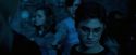 OdF-Potterish_7996.jpg