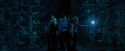 OdF-Potterish_7999.jpg