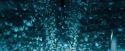 OdF-Potterish_8124.jpg