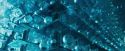 OdF-Potterish_8128.jpg