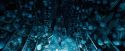 OdF-Potterish_8136.jpg