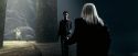 OdF-Potterish_8268.jpg