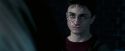 OdF-Potterish_8336.jpg