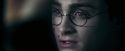 OdF-Potterish_8342.jpg