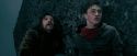 OdF-Potterish_8372.jpg