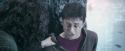 OdF-Potterish_8398.jpg