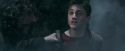 OdF-Potterish_8399.jpg