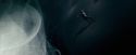 OdF-Potterish_8415.jpg