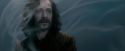 OdF-Potterish_8454.jpg