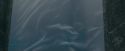 OdF-Potterish_8468.jpg