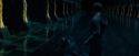 OdF-Potterish_8513.jpg