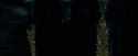 OdF-Potterish_8545.jpg